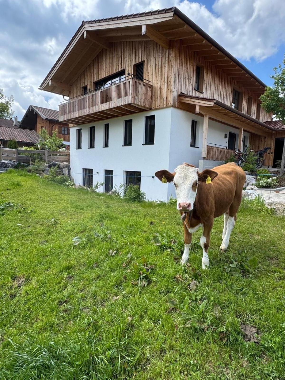 Ferienwohnung Gschwendt Місбах Екстер'єр фото